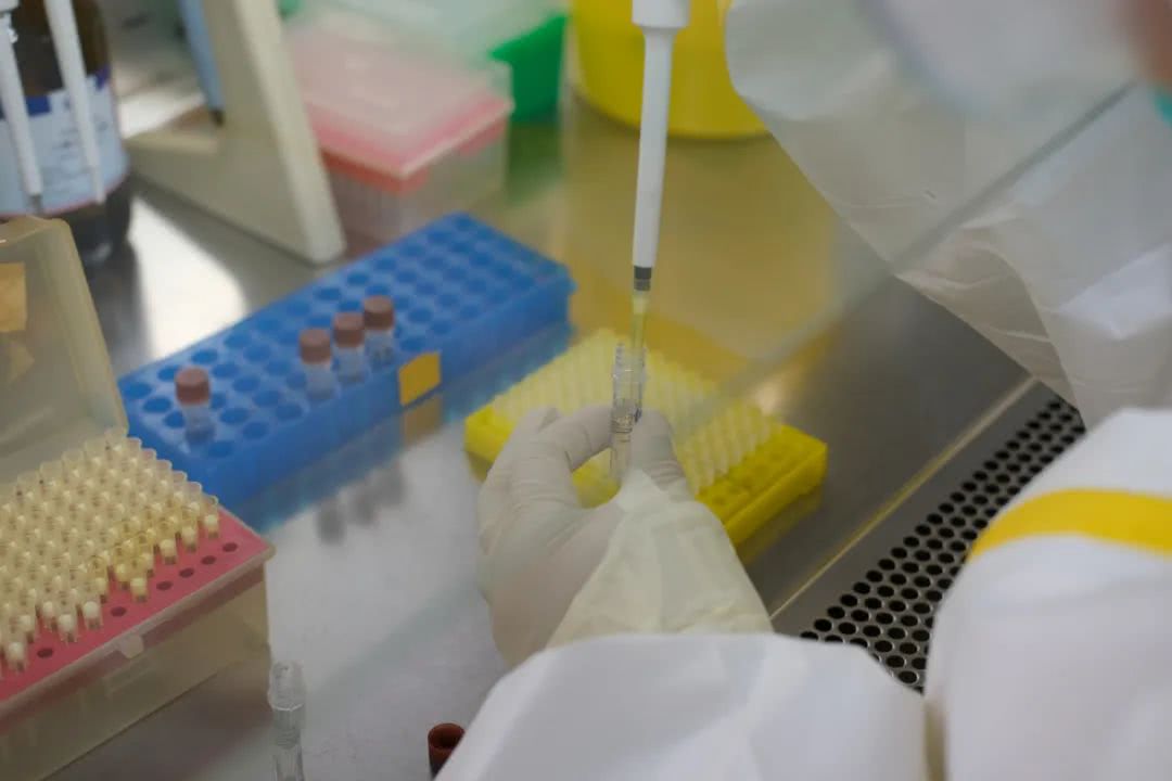 核酸檢測又降價(jià)！多地增設(shè)24小時(shí)檢測服務(wù)機(jī)構(gòu)